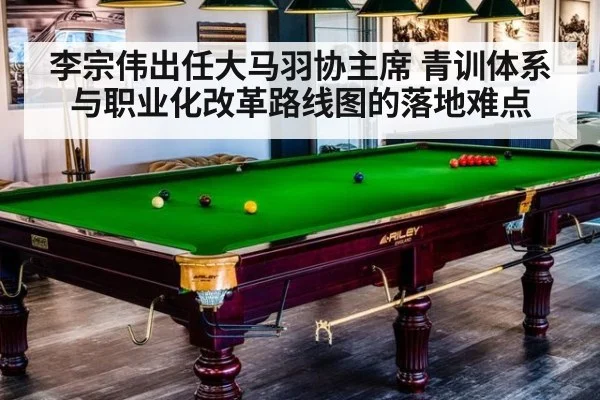 李宗伟出任大马羽协主席 青训体系与职业化改革路线图的落地难点